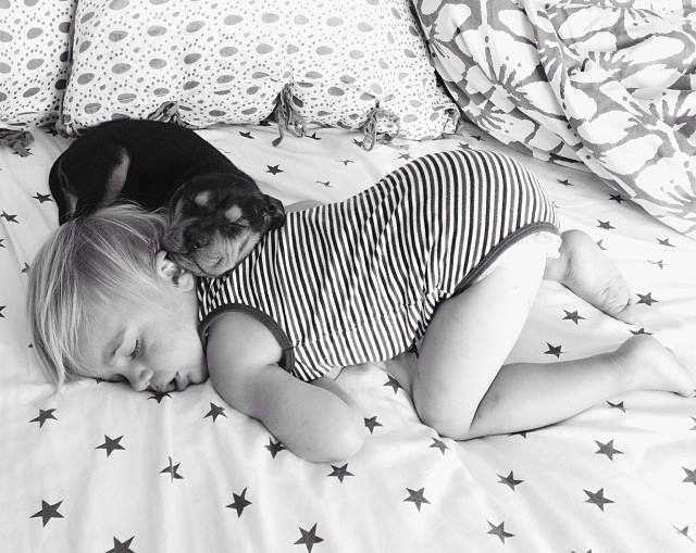 Check out this super cute puppy and toddler that nap together, everyday ;) We can’t figure out who is cuter..both!