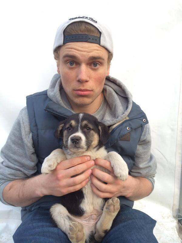 American skier gets the gold for saving Sochi puppies