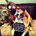 Worth a click: Loving owner Riina Cooke makes a bucket list for her dog with cancer. Nice idea :)