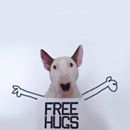 Rafael Mantesso creates some simple fun pics with his bull terrier - take a look :)
