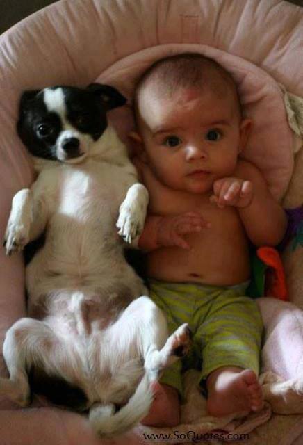 Kids and pets make for great photos – have a look :)