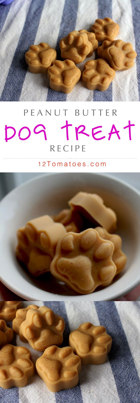 Peanut Butter Dog Treat Recipe