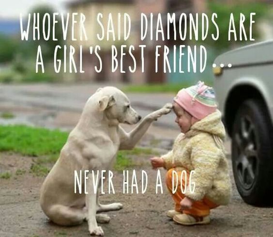 10 Reasons Dogs are a Girl’s Best Friend