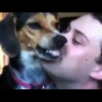 Dog Reacts to Kisses