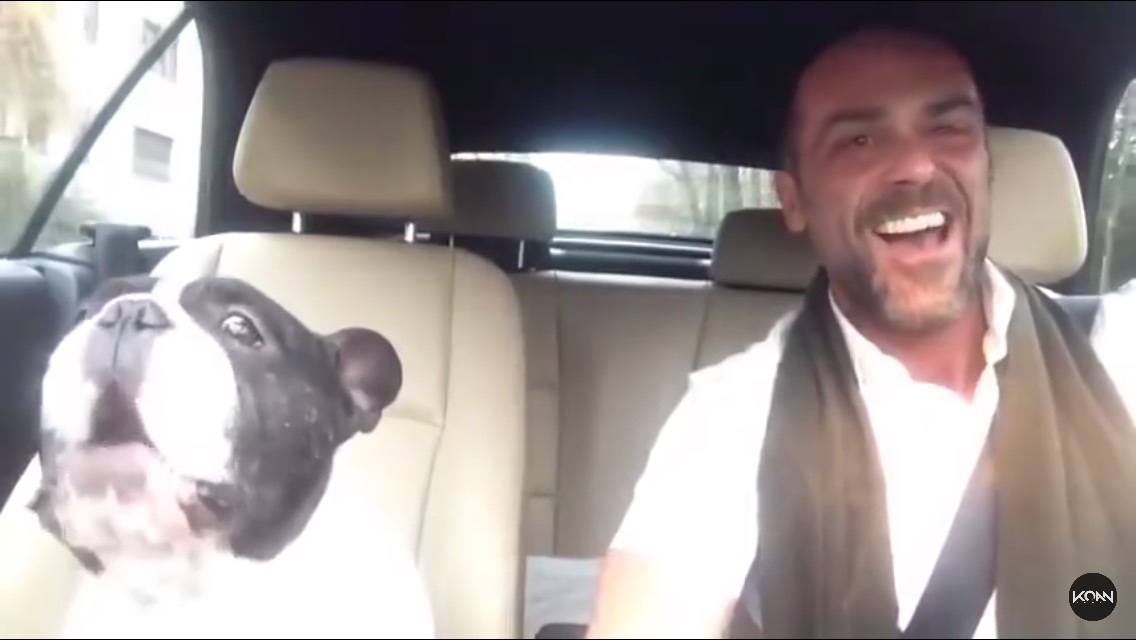 Dog and Owner Sing to Rihanna - Dog Fancast