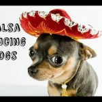 dancing dogs