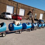 dog train