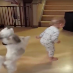 baby mimics dog