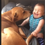 baby laughs