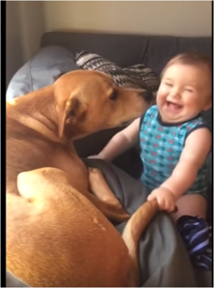 baby laughs