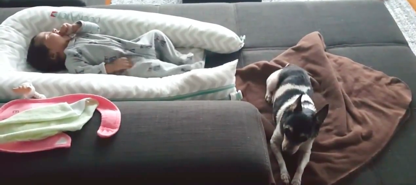 best babysitters
