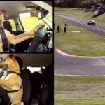 The World's First Driving Dog