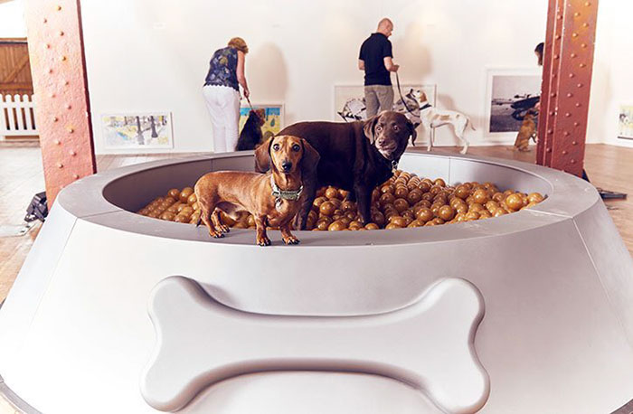 dog art exhibit
