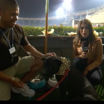 Dogs Love America's Favorite Pastime Too:  Barkyard at Petco Park