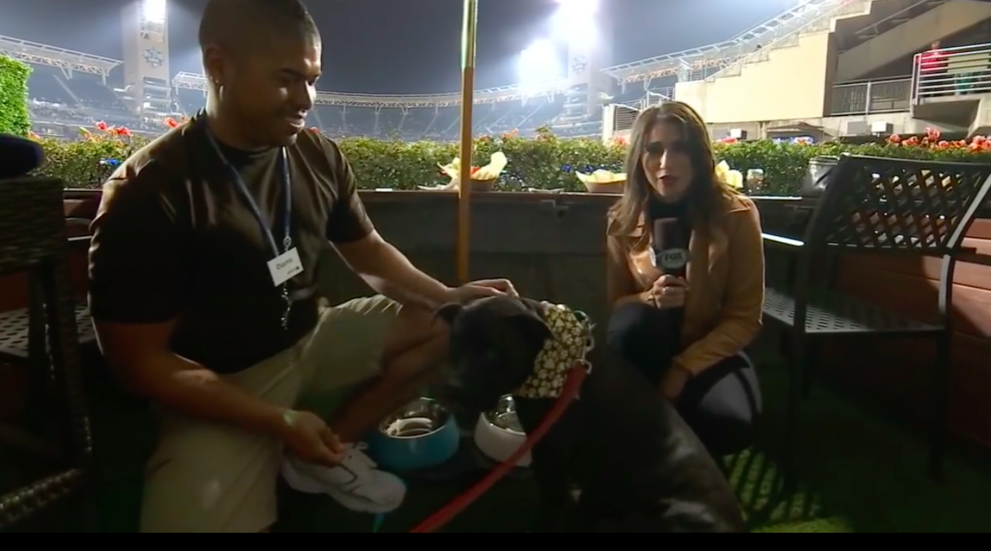 Dogs Love America’s Favorite Pastime Too:  Barkyard at Petco Park