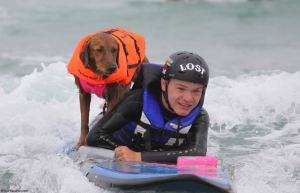 Surf Dog