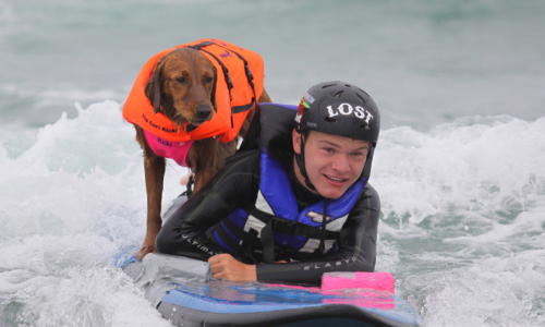 Surf Dog