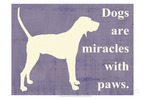 miracles with paws