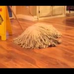 ordinary mop