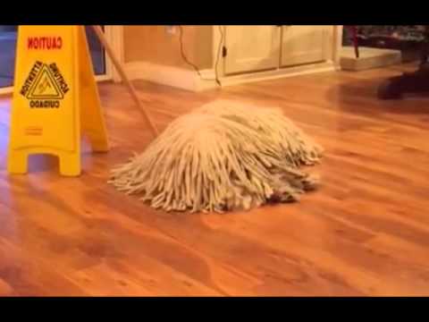 ordinary mop