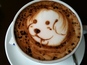 Dog Latte Art