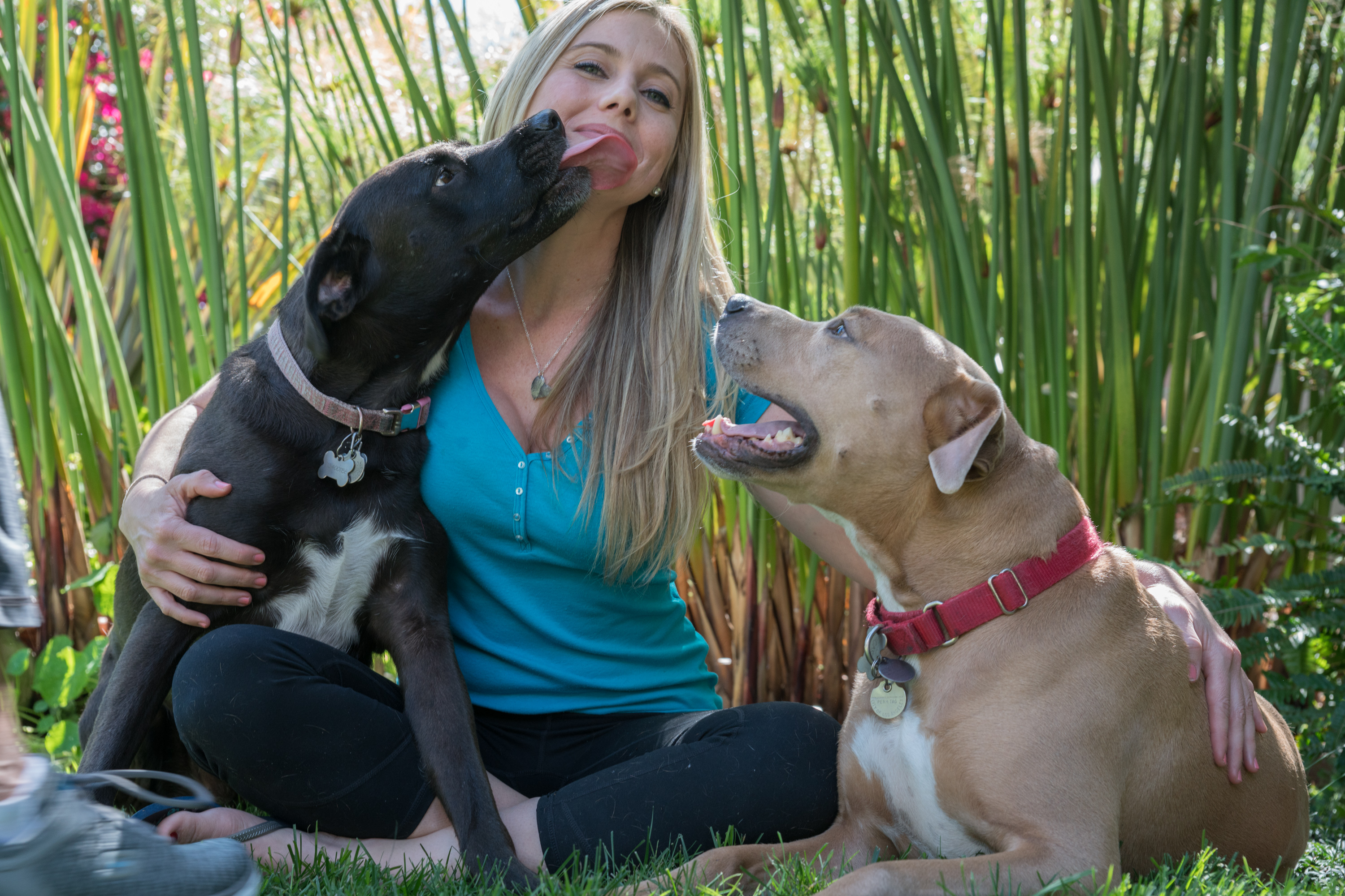 10 things I’ve learned from being a dog mom.