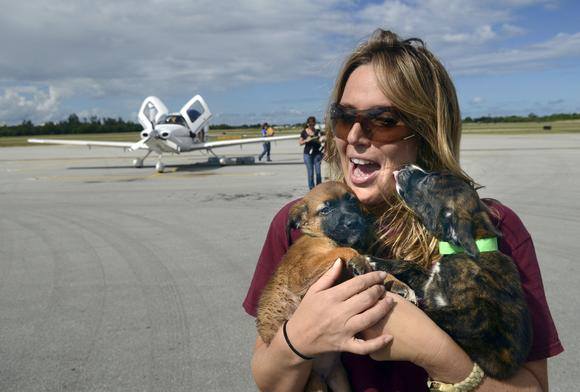 So thankful for those who work to make this world a BETTER place for animals … This weekend, the many volunteers of Pilots N Paws flew 400