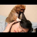 Dogs waking up their owners...is this a familiar story in your household?