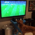 Are you watching the World Cup? Watch the below video to see if you are as much of a fan as this pup :)