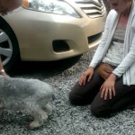 Check out the below video of a poor pup, almost passing out from joy at seeing his family member return home.
FYI - dog was checked out by a