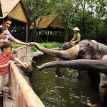 What’s the oldest zoo in America? How about the entire world? Discover the world’s best zoos here: