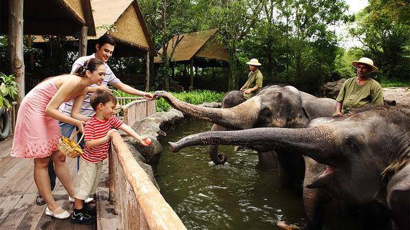 What’s the oldest zoo in America? How about the entire world? Discover the world’s best zoos here: