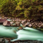 These are the silky waters of the Daintree Rainforest in Queensland, Australia!