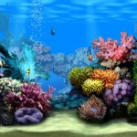 *Click* the link below to see some of nature’s best and most exhilarating wild aqua encounters!