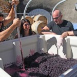 Napa on a budget? Here's how: