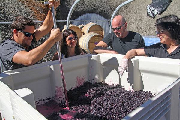 Napa on a budget? Here’s how: