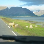 Reportedly named to intentionally deter settlers, Iceland is a land of pure beauty!