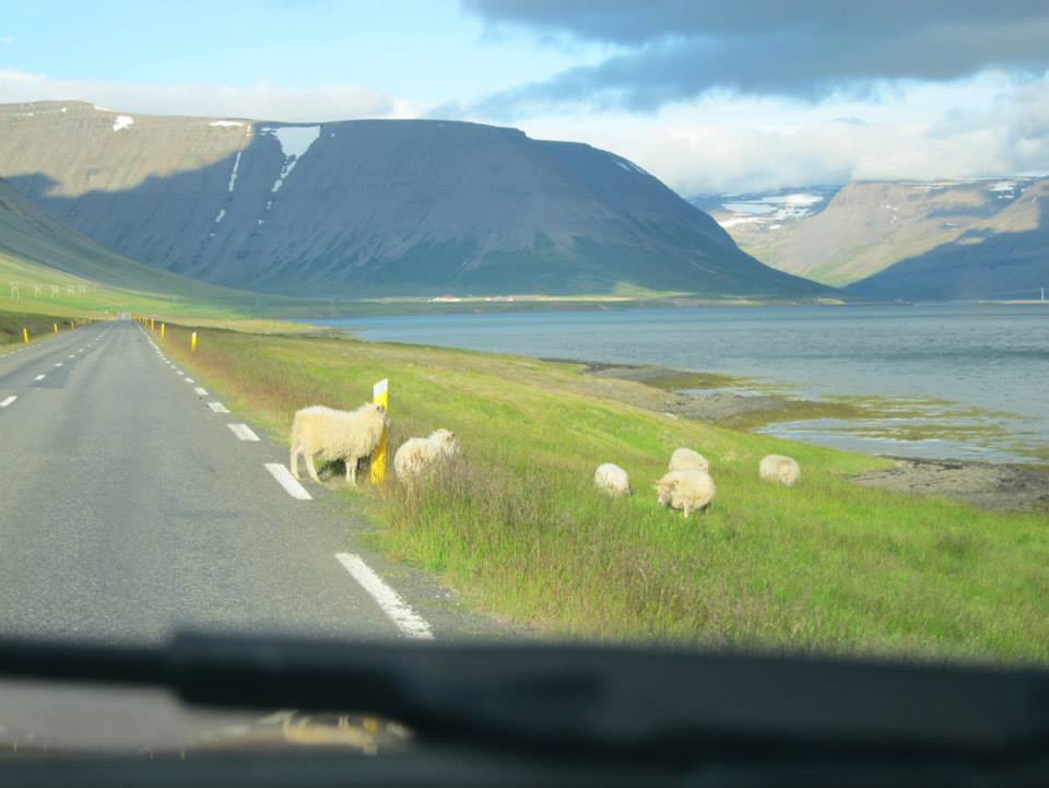 Reportedly named to intentionally deter settlers, Iceland is a land of pure beauty!
