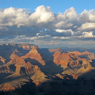 Looking for an adventure? How about riding a mule in the Grand Canyon!