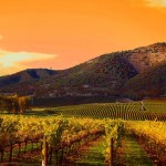 With cutting-edge wineries and a farm-to-table movement that’s never waned, Napa Valley has enduring appeal, click here to escape to wine