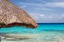 How to plan a dream #Cozumel #honeymoon!!!

Click here: