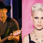 kenny chesney and pink