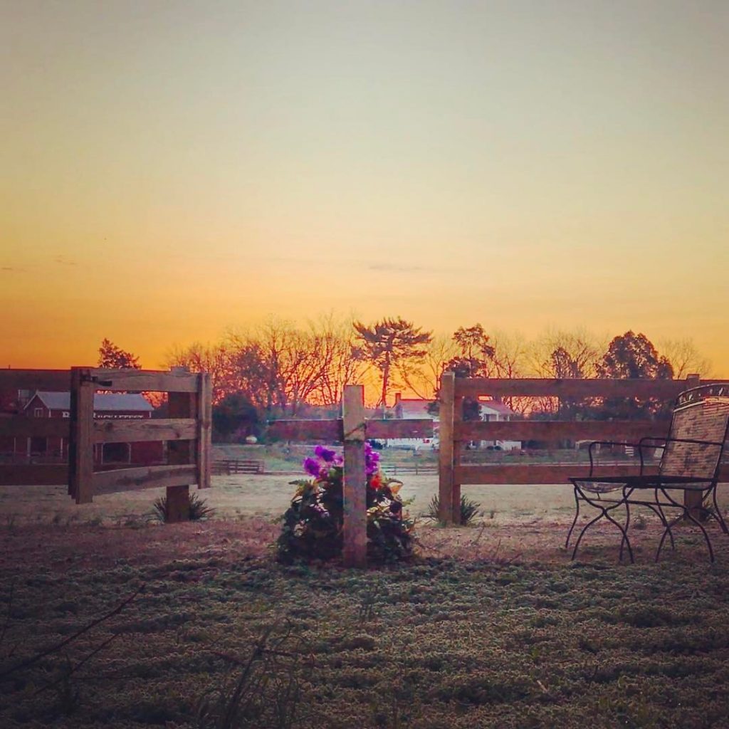 joey rory barn