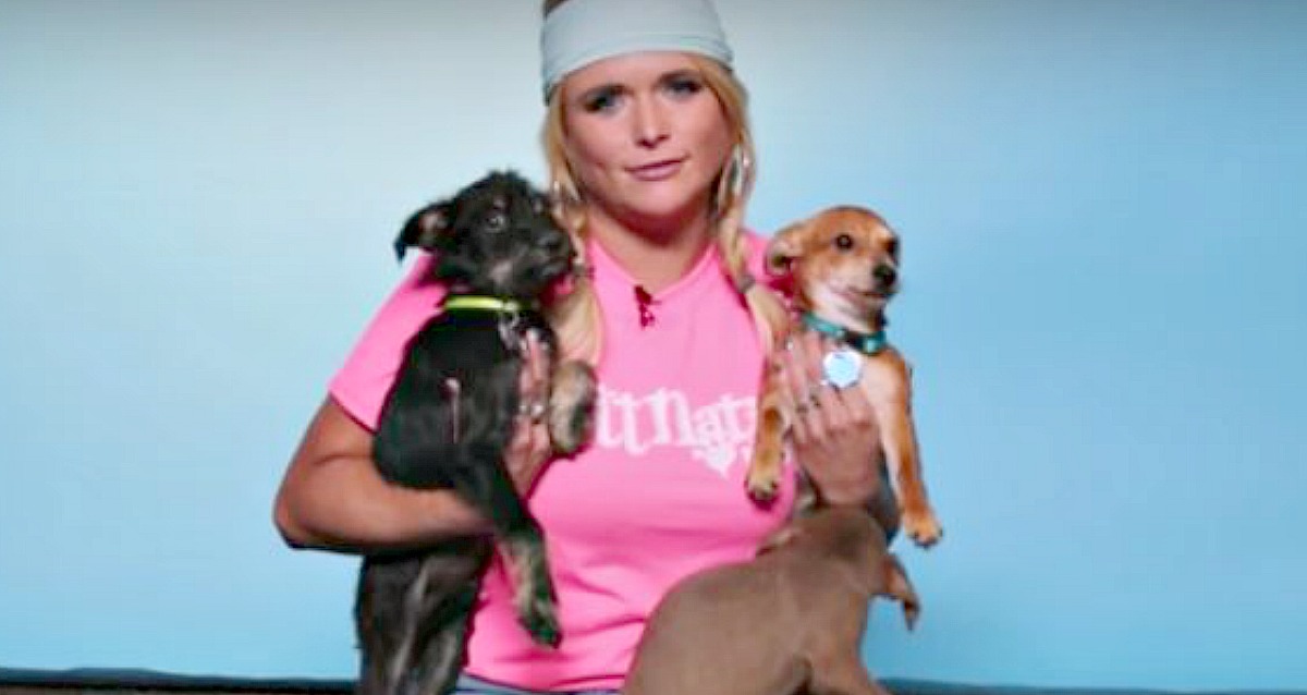 Miranda Lambert with rescue puppies