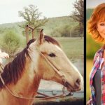 reba mcentire radio