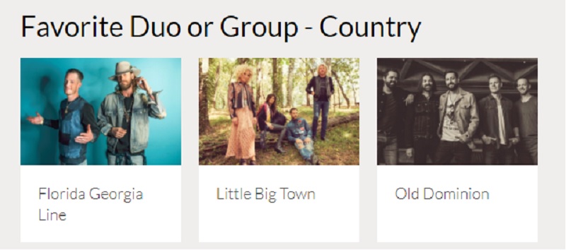 Country Music Duo AMAs