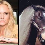 miranda lambert horses