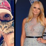 miranda lambert kittens