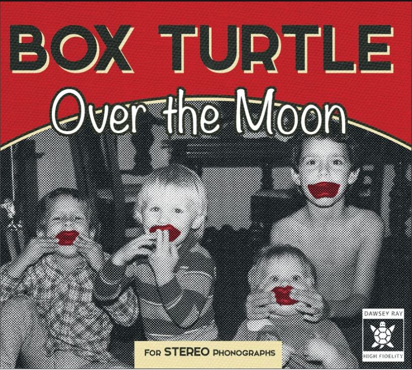 Box Turtle Over The Moon