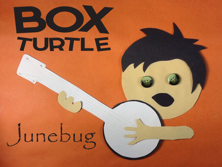 Box Turtle Junebug